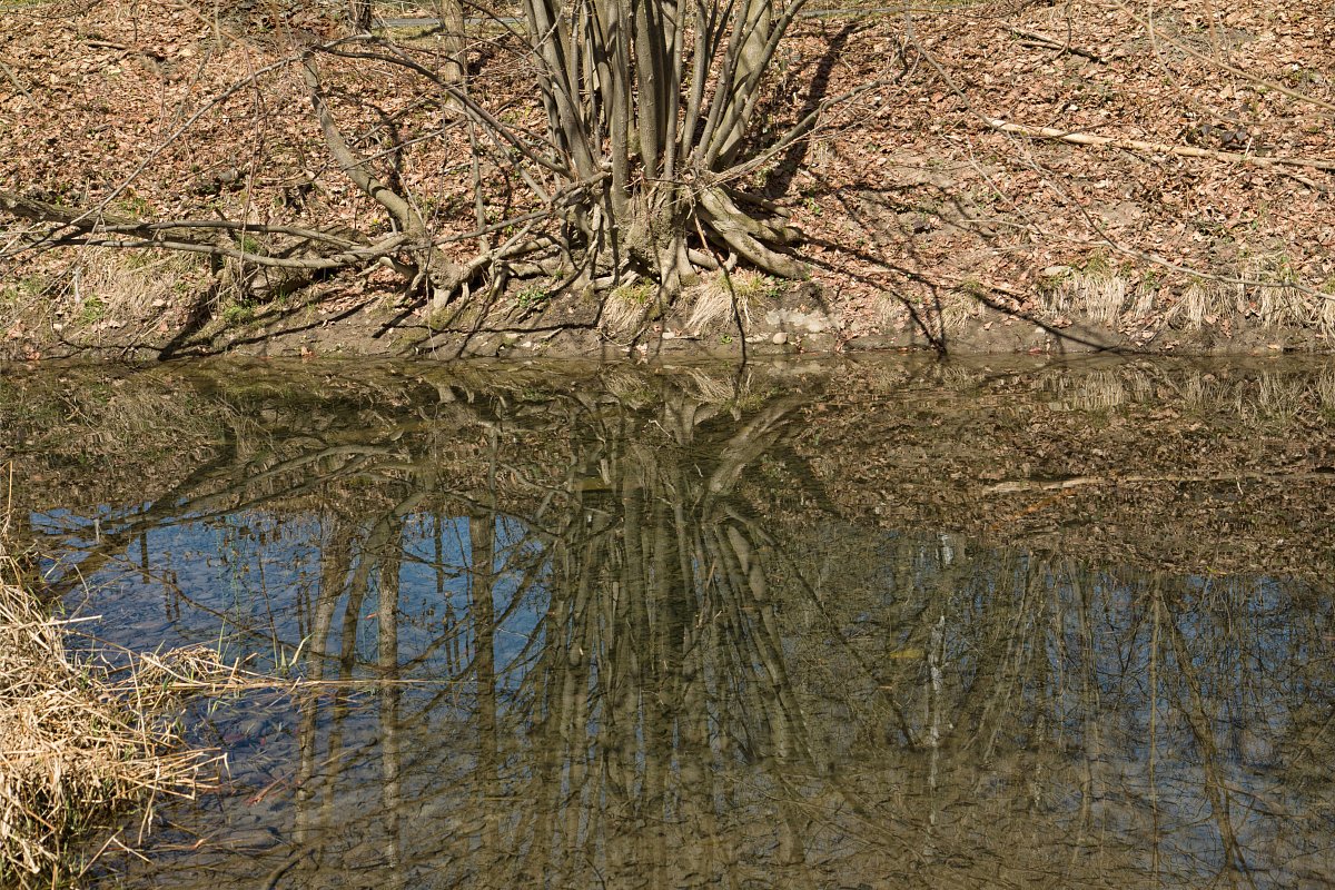 Fotoreportáž: Březen u řeky