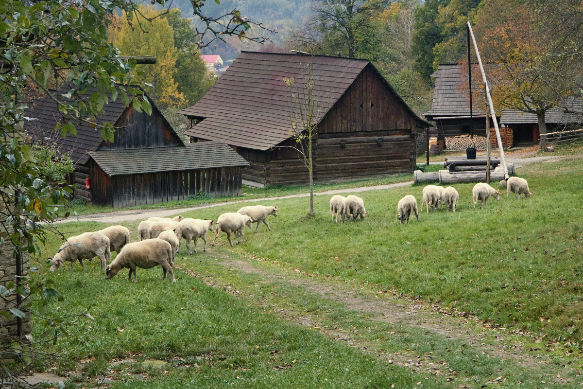 Podzim na dědině