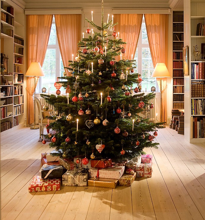 Vánoční strom.png
