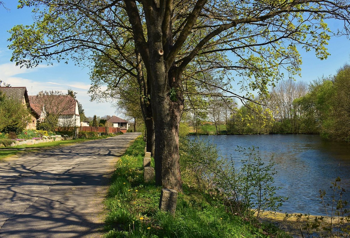 Vesnička Březinka.