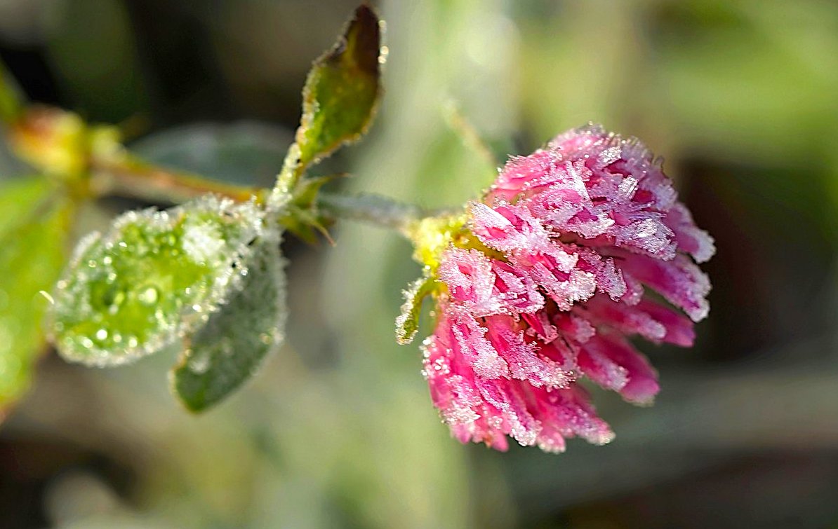 FOTO DNE 23.11.: Anna Čípová - Zima se blíží
