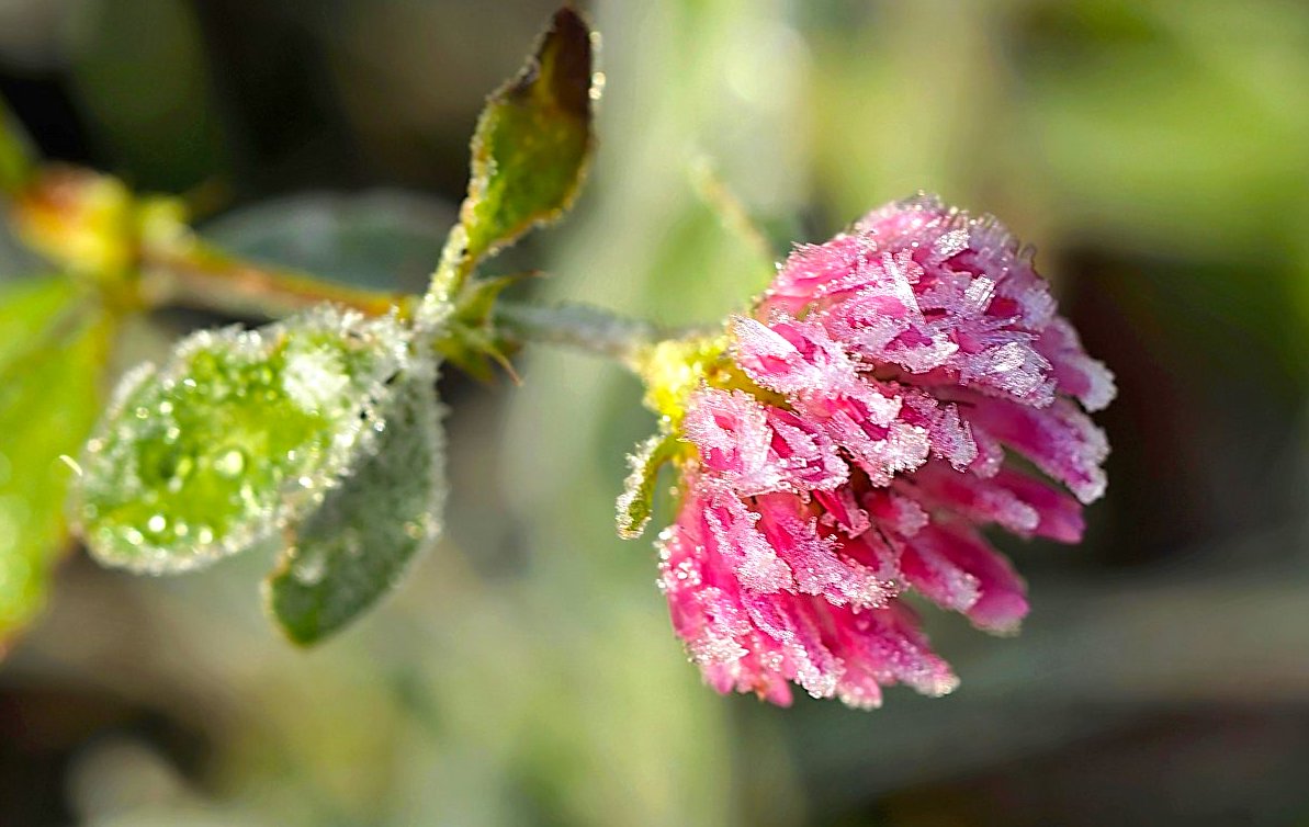 FOTO DNE 23.11.: Anna Čípová - Zima se blíží