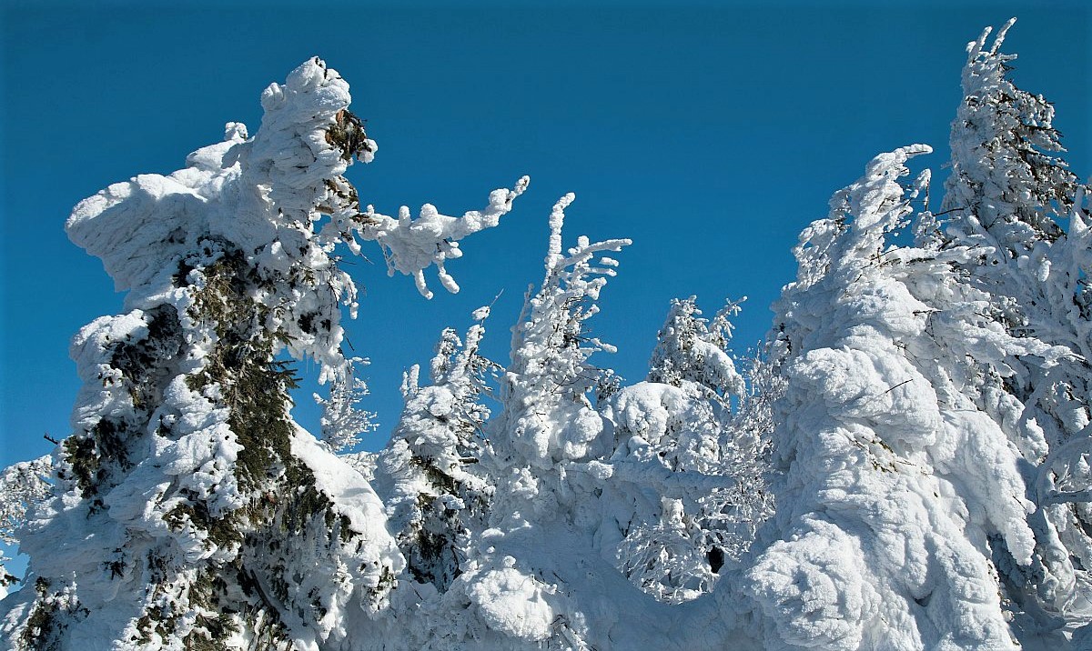 FOTO DNE 28.2.: Anna Čípová - Zima se nevzdává