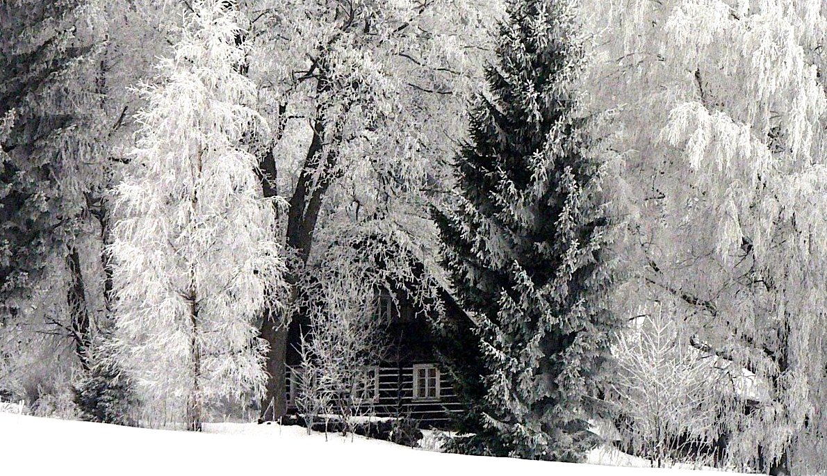 FOTO DNE 7.1.: Marie Měchurová - Zima v Orlických horách