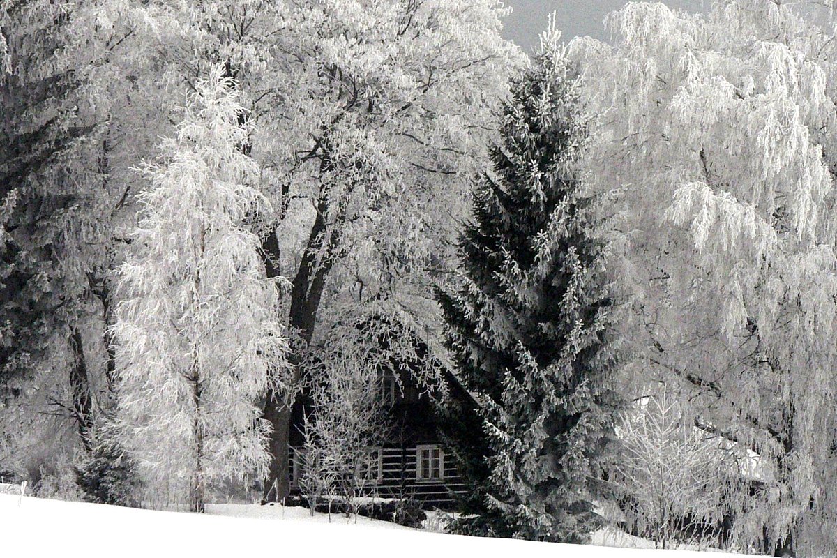 Pořádná zima v Orlických horách