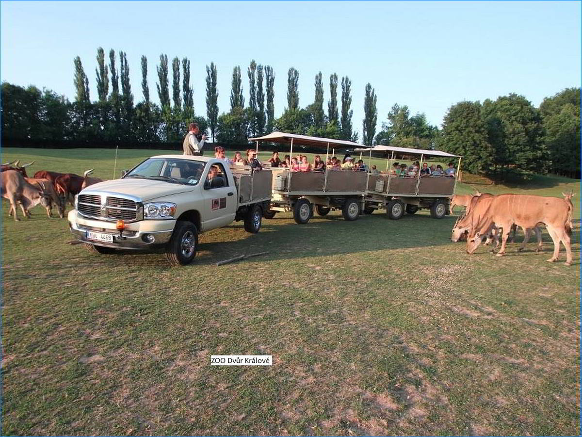 alfa trutnov zoo