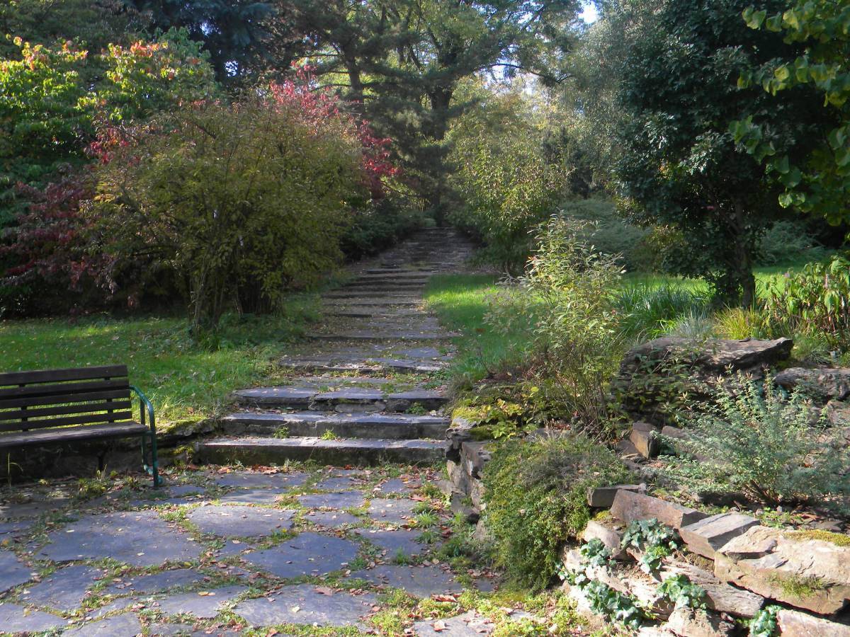 Fotopříběh: Arboretum Nové Dvory