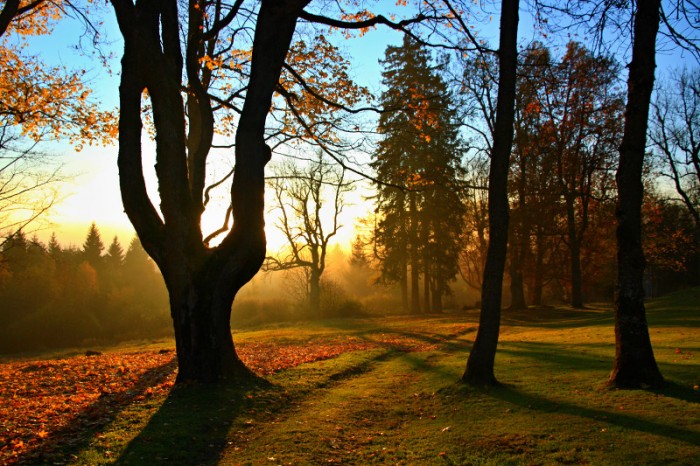 Výsledek obrázku pro jak fotit babi leto