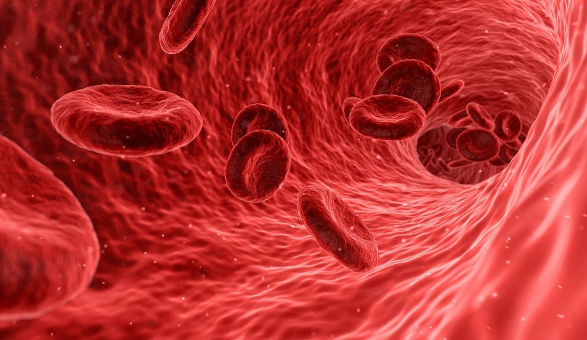 Odhalí krevní testy, kdy umřeme? Ne, nicméně z krve toho poznáme dost, říká biochemik a hematolog Jaroslav Racek