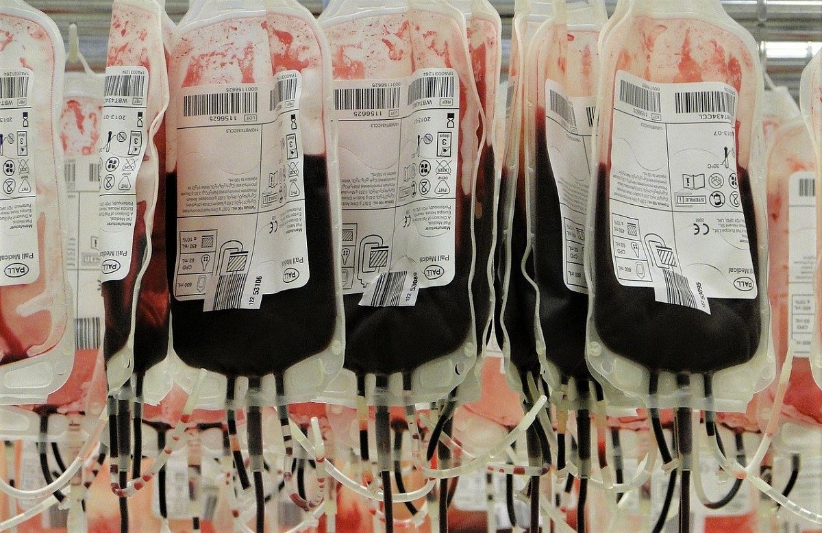 Zdravá krev zachraňuje životy, v ČR však stále chybí na 100 tisíc pravidelných dárců