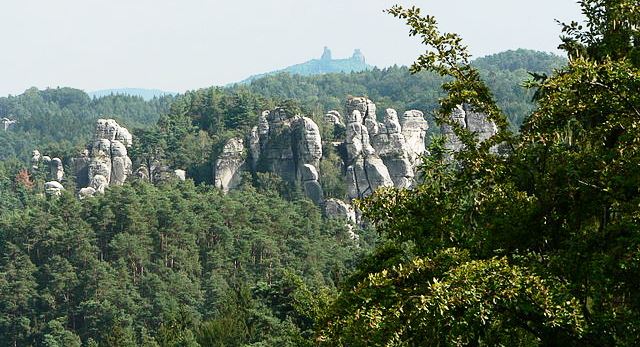 V Českém ráji byla obnovena
vyhlídka Jirkovská borovice