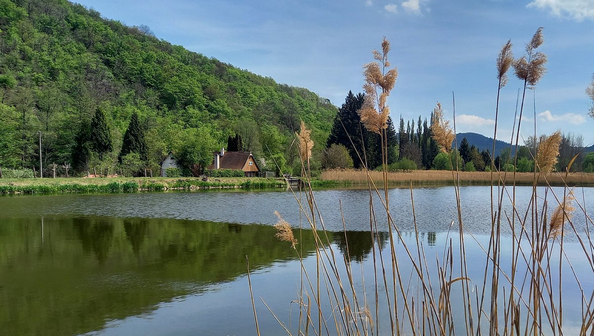 Chaloupka u rybníka, Jince