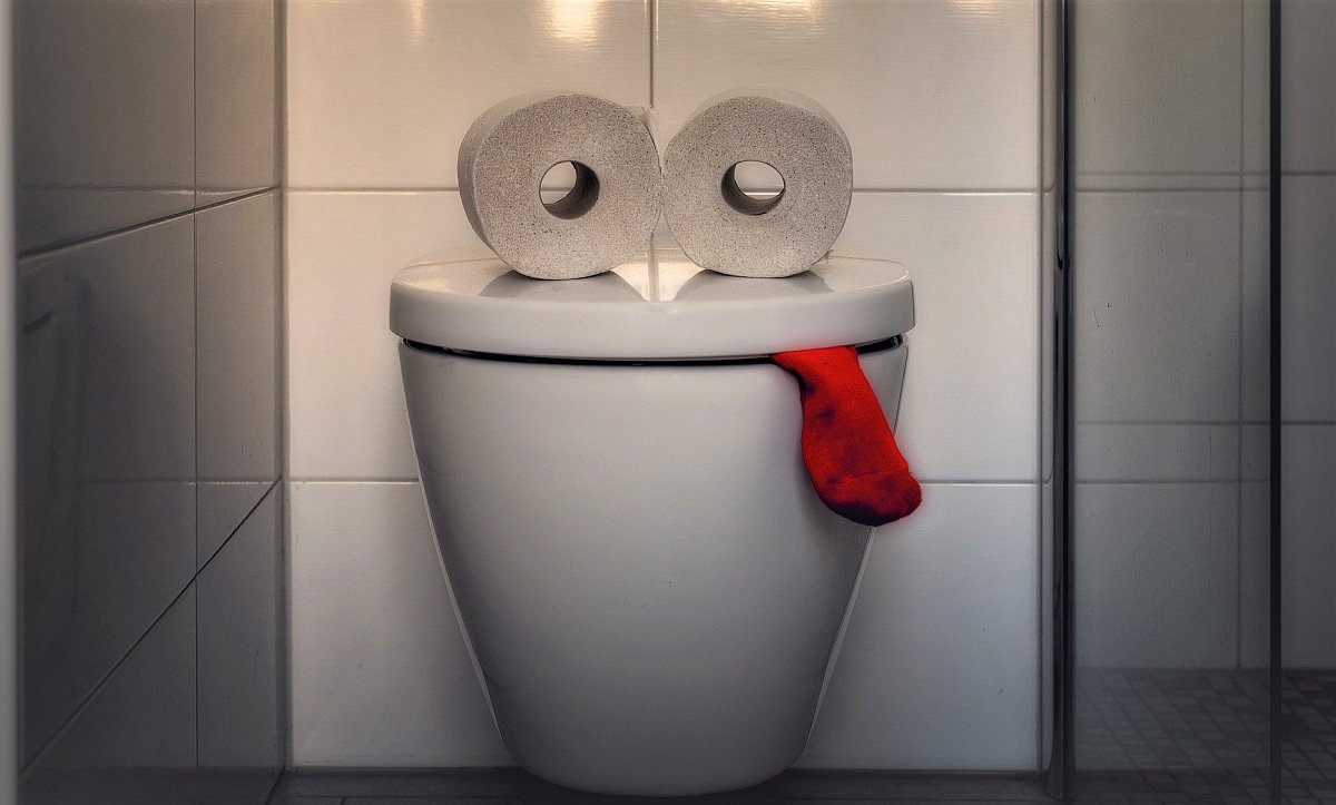 I záchody mají svou slavnost - světový den toalet
