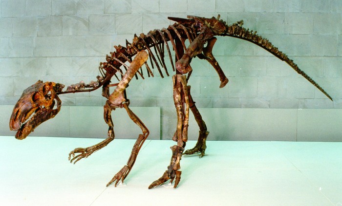 Vycházka do lomu u Kutné Hory 
skončila nálezem dinosauří kosti
