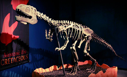 Mimořádná expozice
ukáže kostry dinosaurů