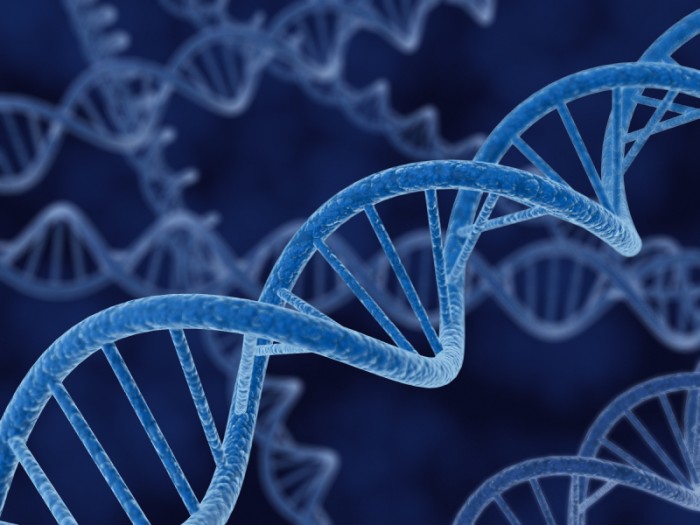 Mladý český vědec objevil, 
jak opravovat „nemocnou“ DNA