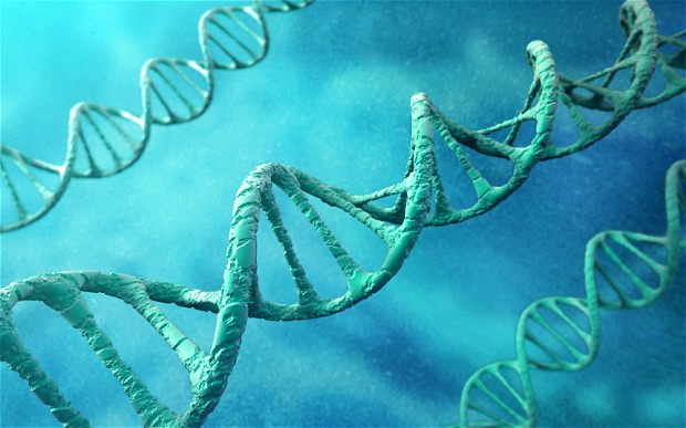 Objev kopírovacího mechanismu
DNA odkryl nedozírné možnosti