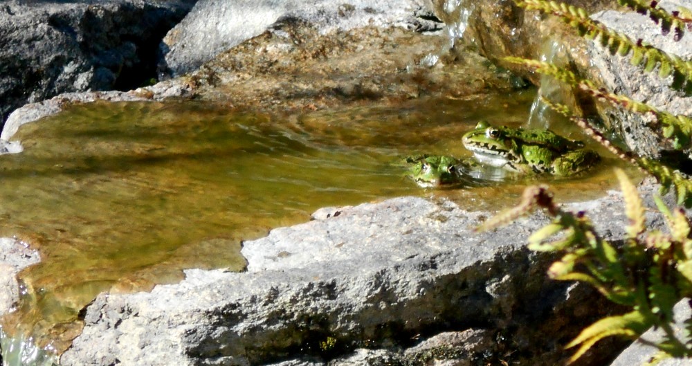 Tip na výlet: Krásy přírody
s fotoaparátem v ruce