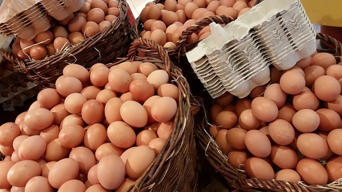 Jak vybrat kvalitní vejce na Velikonoce? Kód vám prozradí zemi původu i způsob chovu slepic