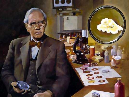 Flemingův "špatný úklid"
zahájil revoluci v medicíně