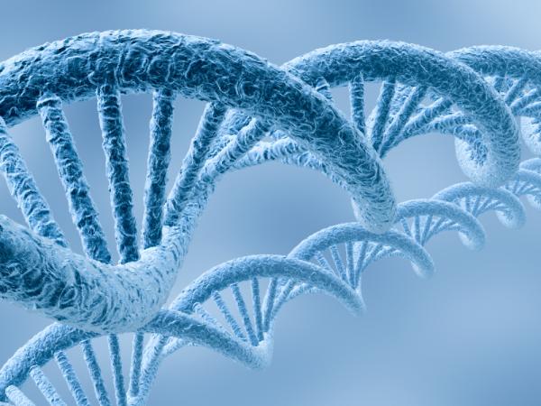 Odpadní DNA nejspíš skrývá
nový klíč k mnoha chorobám