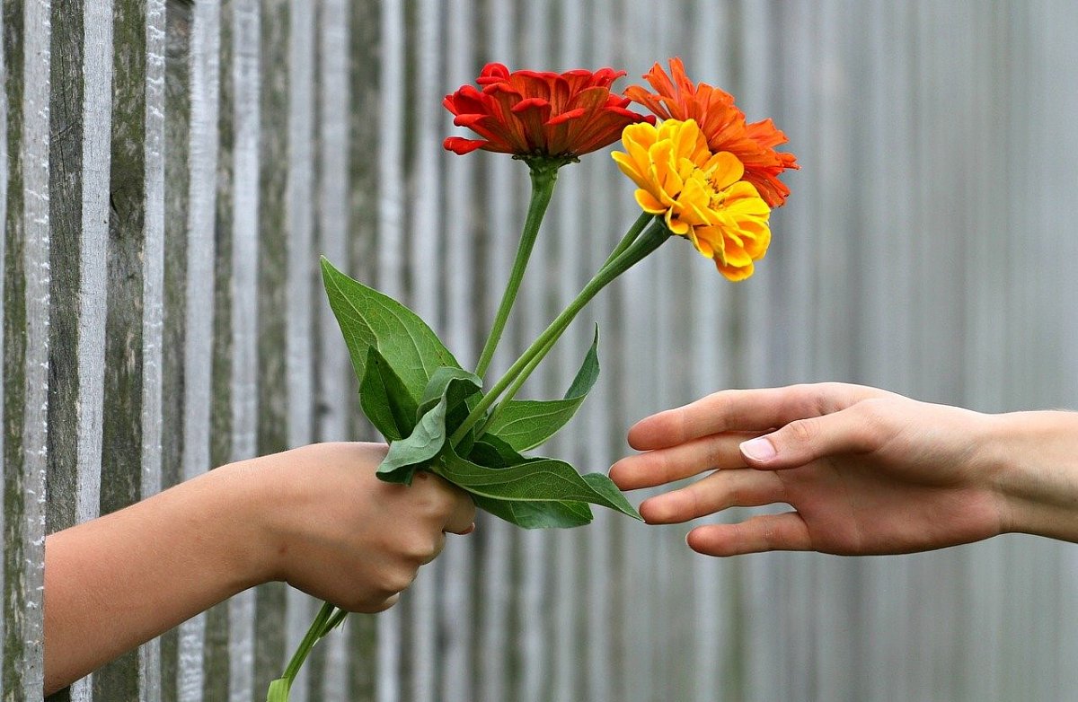 Mýty a nesmysly, které se týkají darování květin
