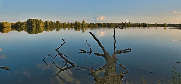 Můj nejsilnější zážitek roku: 
Dvakrát do jedné řeky…