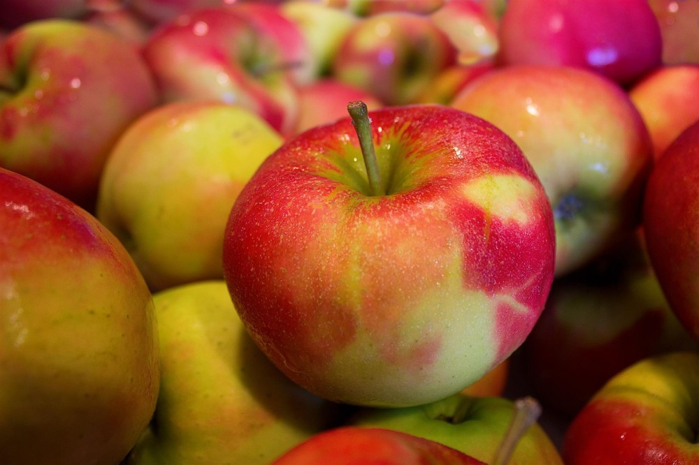 V Hostětíně připomenou
význam a tradici jablek