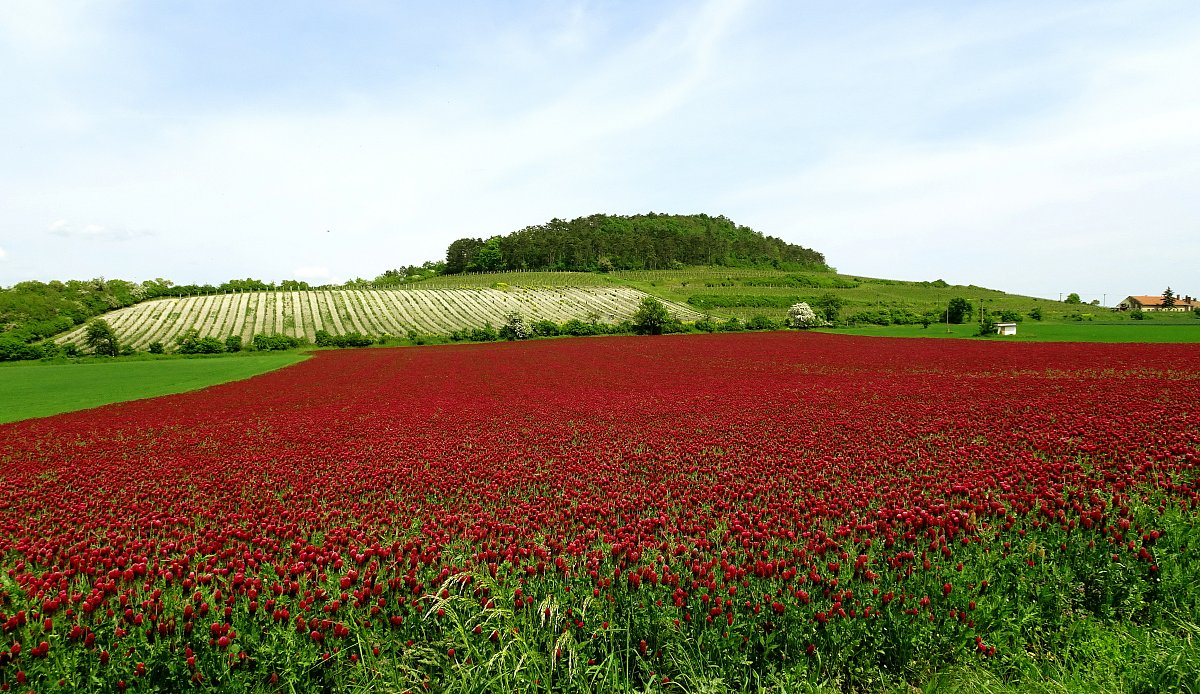 Barevná krajina