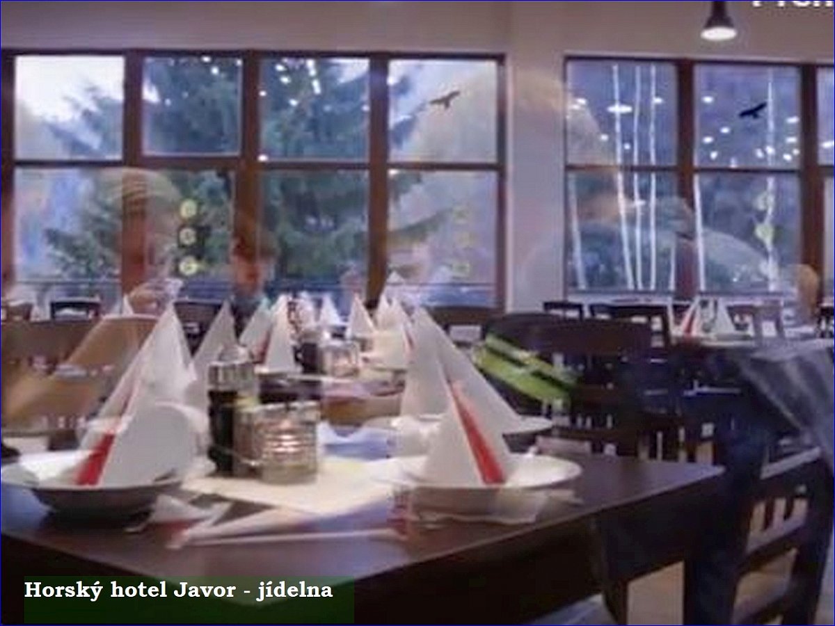 Hotel Javor Malá Úpa