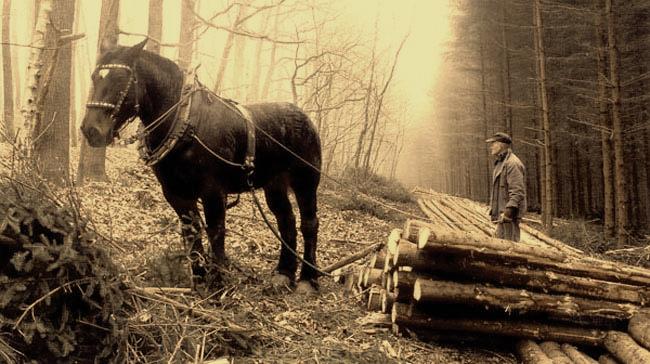 Mrkání(2. část):
Muzikanti, to sú chlapci