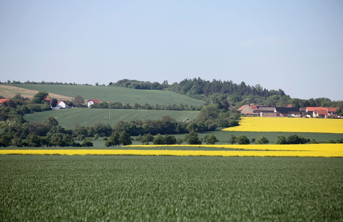 Kde domov můj: Lipany