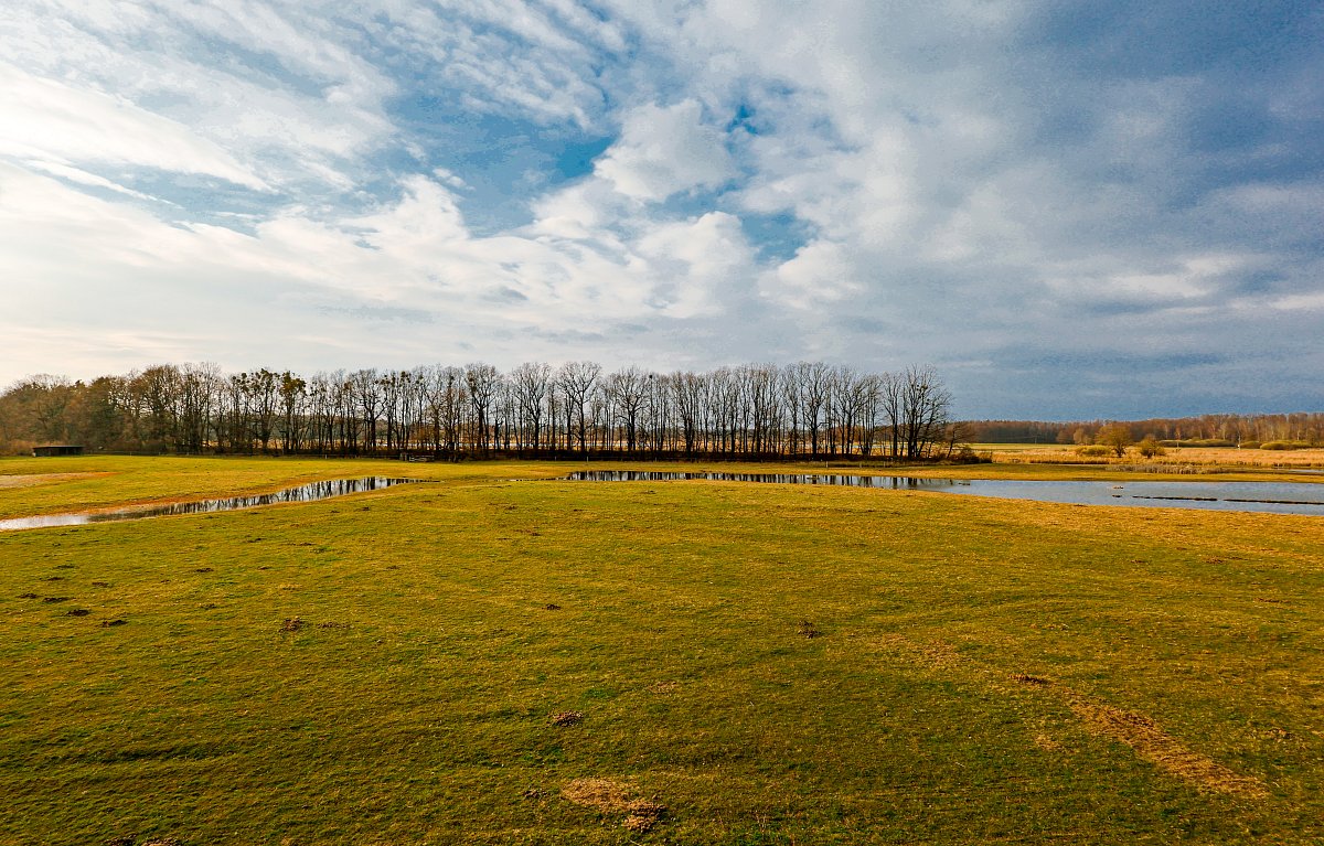 Lesík, louky, voda ... a nebe ...