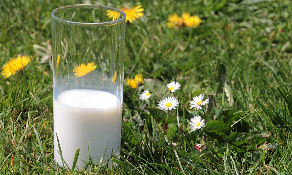 Slavíme Světový den mléka. Ale potřebujeme mléko i v dospělosti?