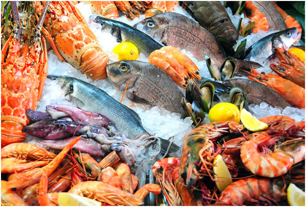 „Čerstvé“ mořské ryby
bývají často rozmrazené