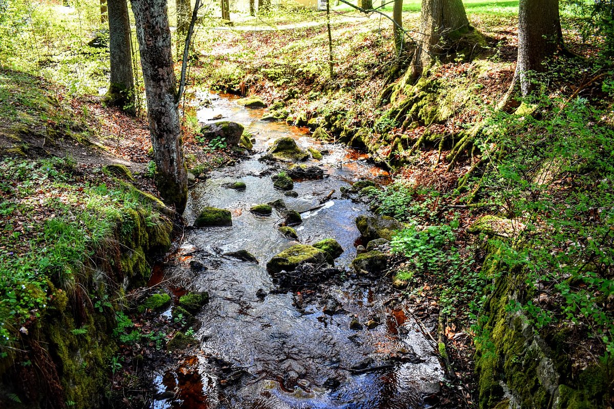 Potok v Mariánkách