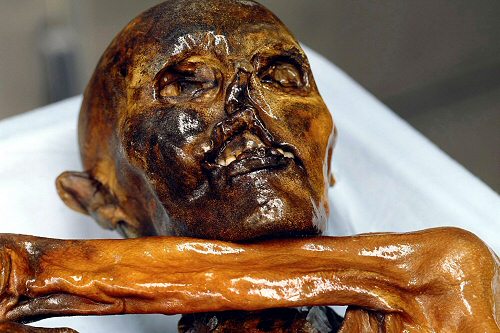 Mumie Ötzi vydala
nejstarší krev na světě