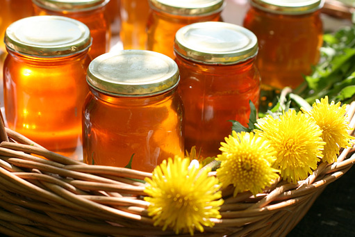 Pampeliškový med a sirup
