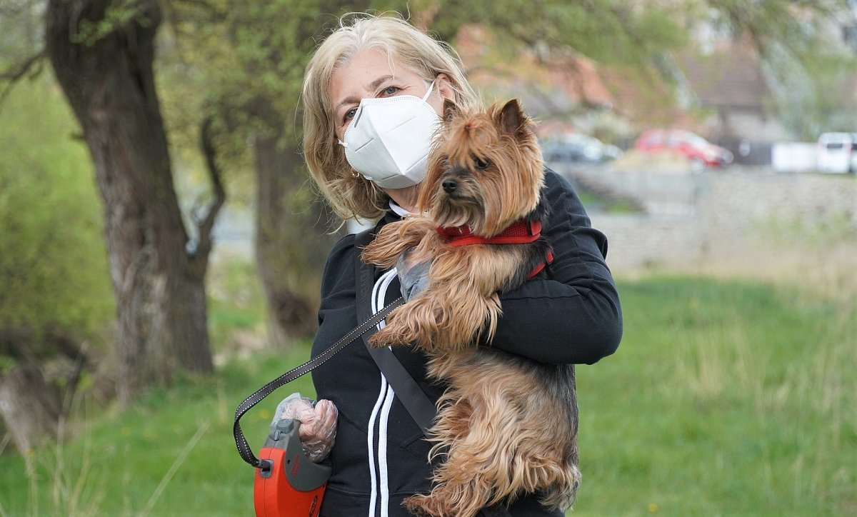 Psi pořízení v době pandemie nyní dělají lidem starosti. Mnozí je nabízejí přes inzerát nebo dávají do útulků
