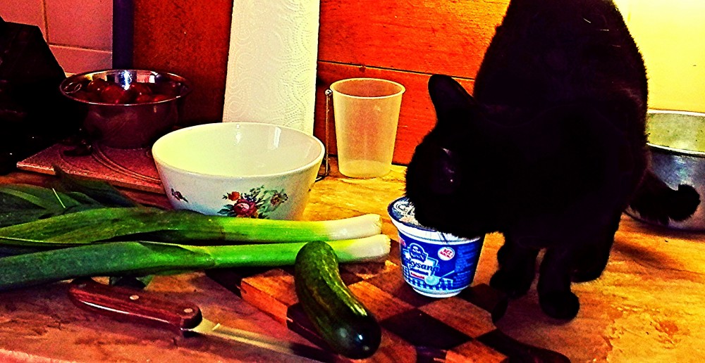 Porkurkový salát se smetanou a kočkou