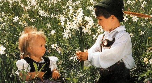 Výlet za narcisy 