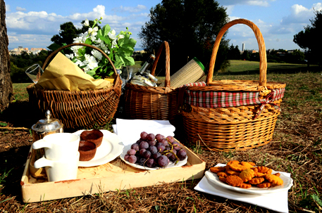 Romantické touhy:
jarní piknik!