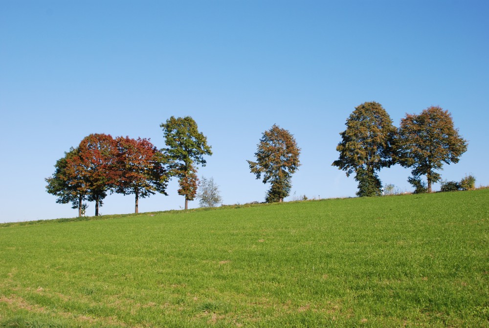 Tento týden začne pršet,
ale bude stále teplo