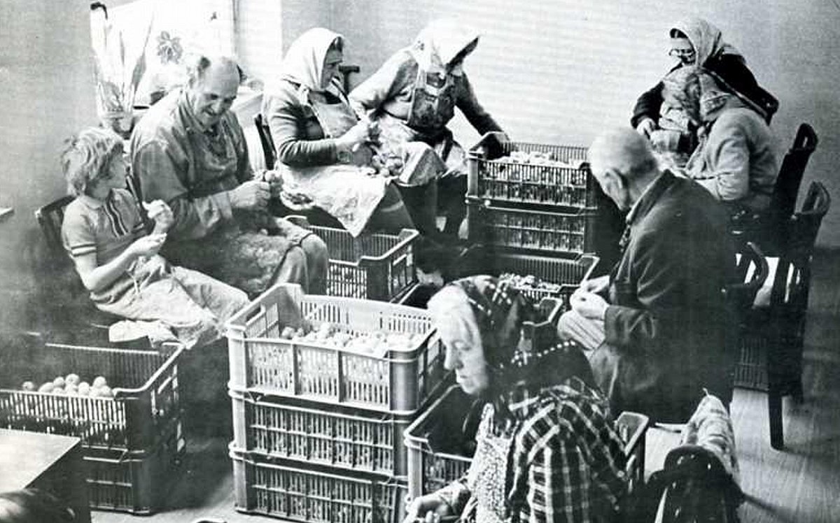 Poslední exilová dekáda