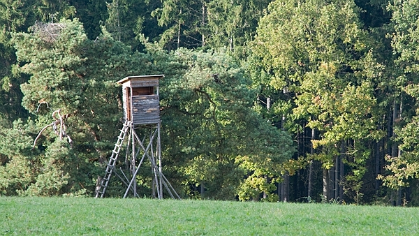 Tři lesní mušketýři