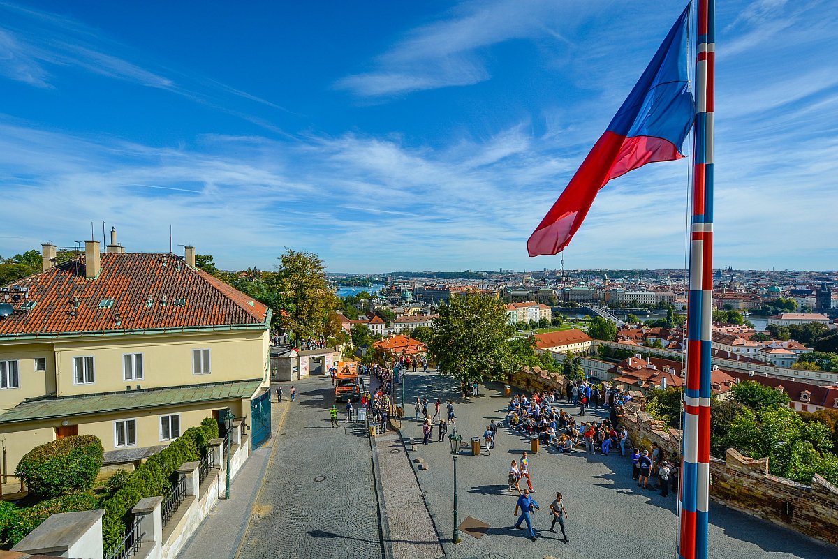 O jednom zeleném mozku