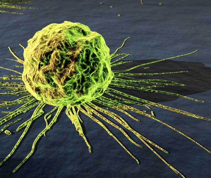 Čeští vědci popsali novou
metodu v léčbě rakoviny