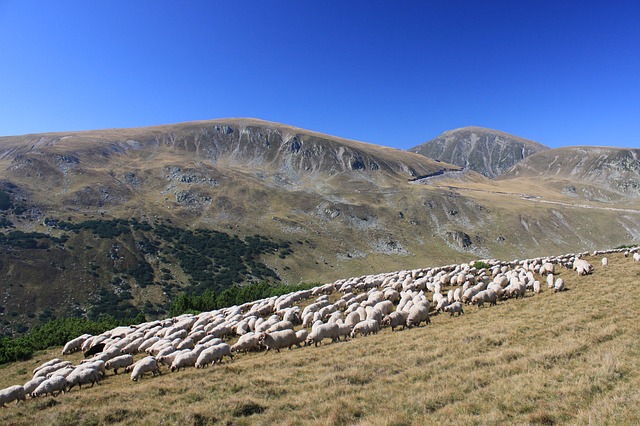 Cestou necestou přes 
rumunský Fagaraš, III. díl