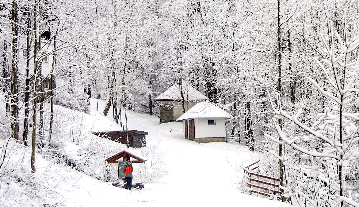 FOTO DNE 11.12.: Eliška Murasová - Ztracen v bílé