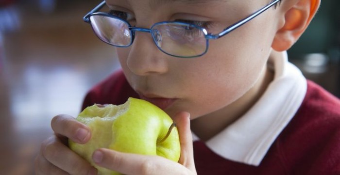 Je školní stravování zdravé?